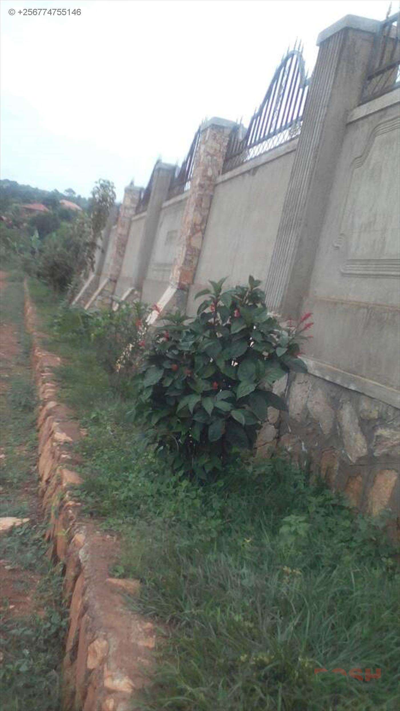 Bungalow for sale in Kajjansi Wakiso