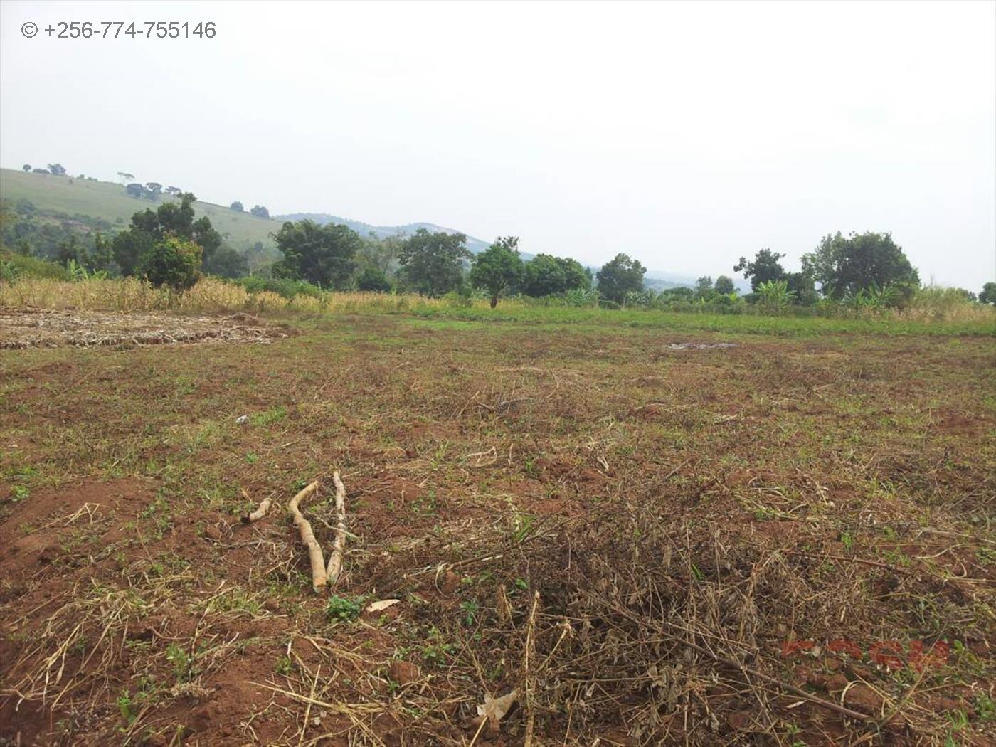 Agricultural Land for sale in Gomba Masaka