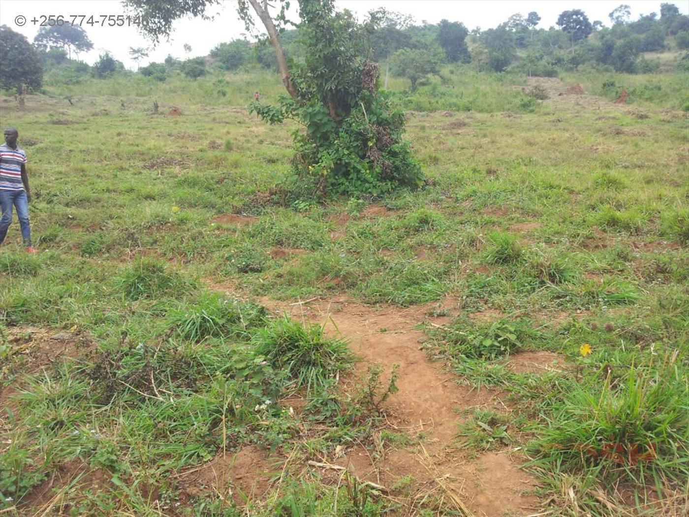 Agricultural Land for sale in Gomba Masaka