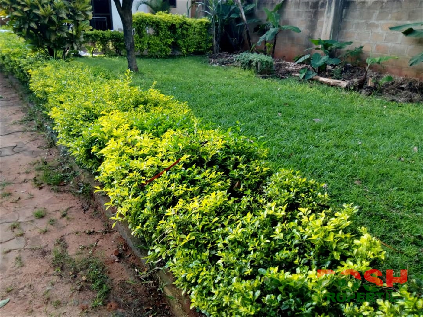 Bungalow for sale in Kajjansi Wakiso