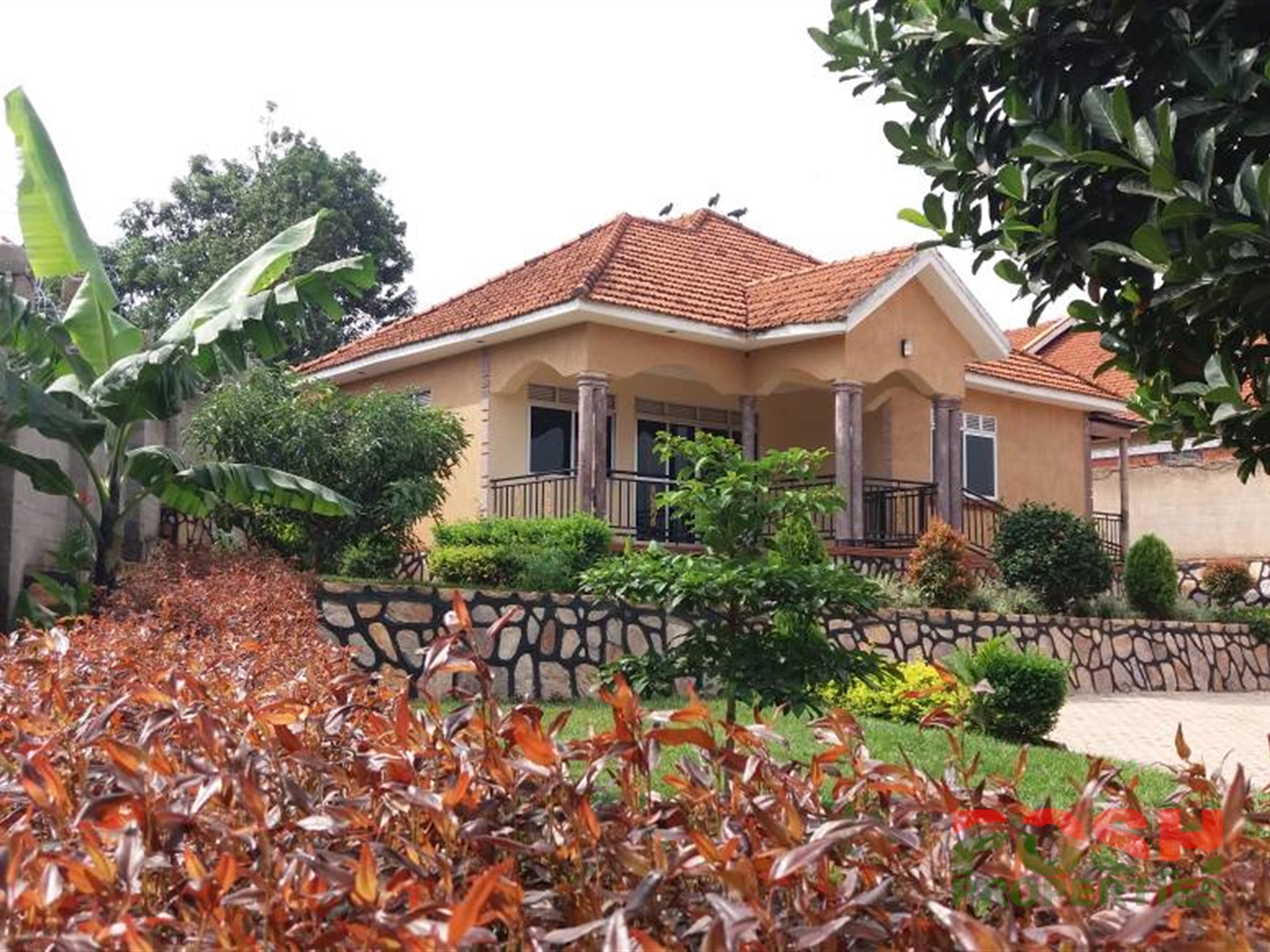 Bungalow for rent in Bukoto Kampala