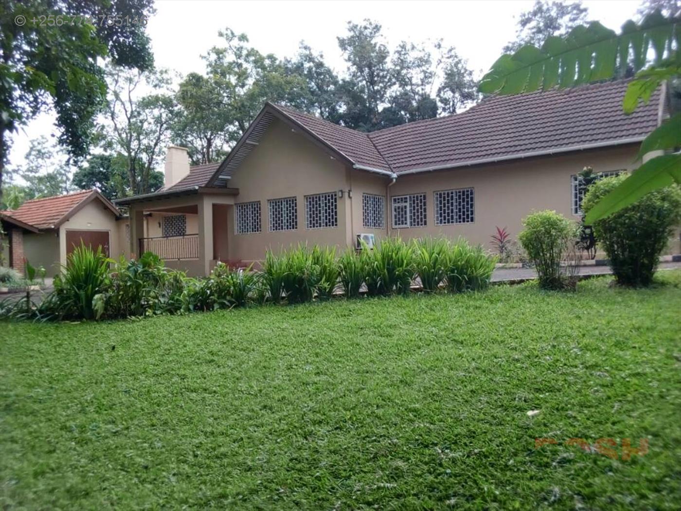 Bungalow for rent in Kololo Kampala