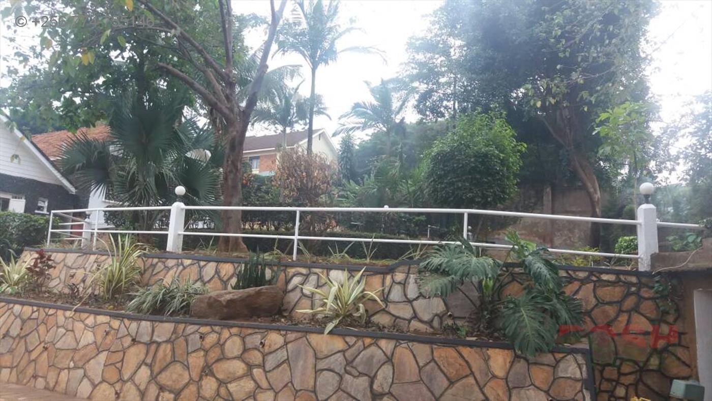 Bungalow for rent in Naguru Kampala