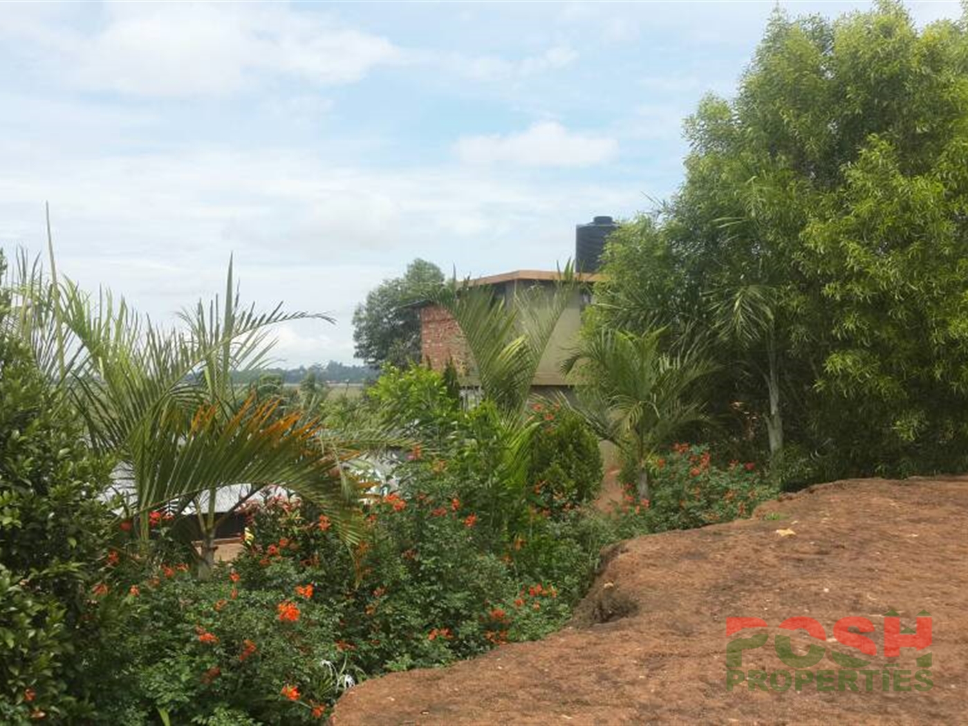 Mansion for sale in Nkumba Wakiso