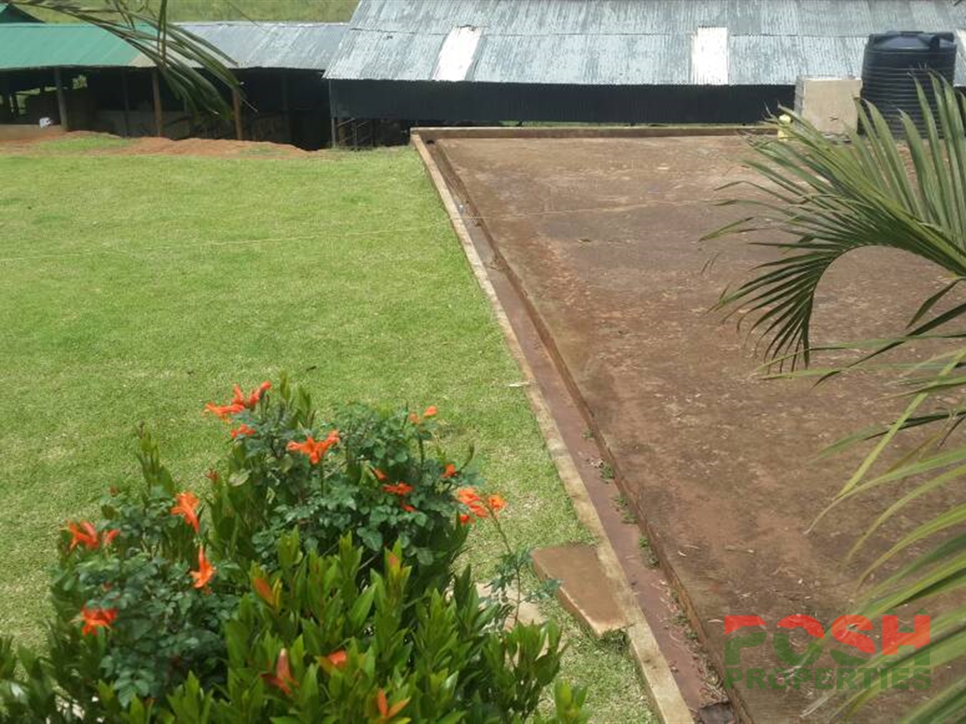 Mansion for sale in Nkumba Wakiso