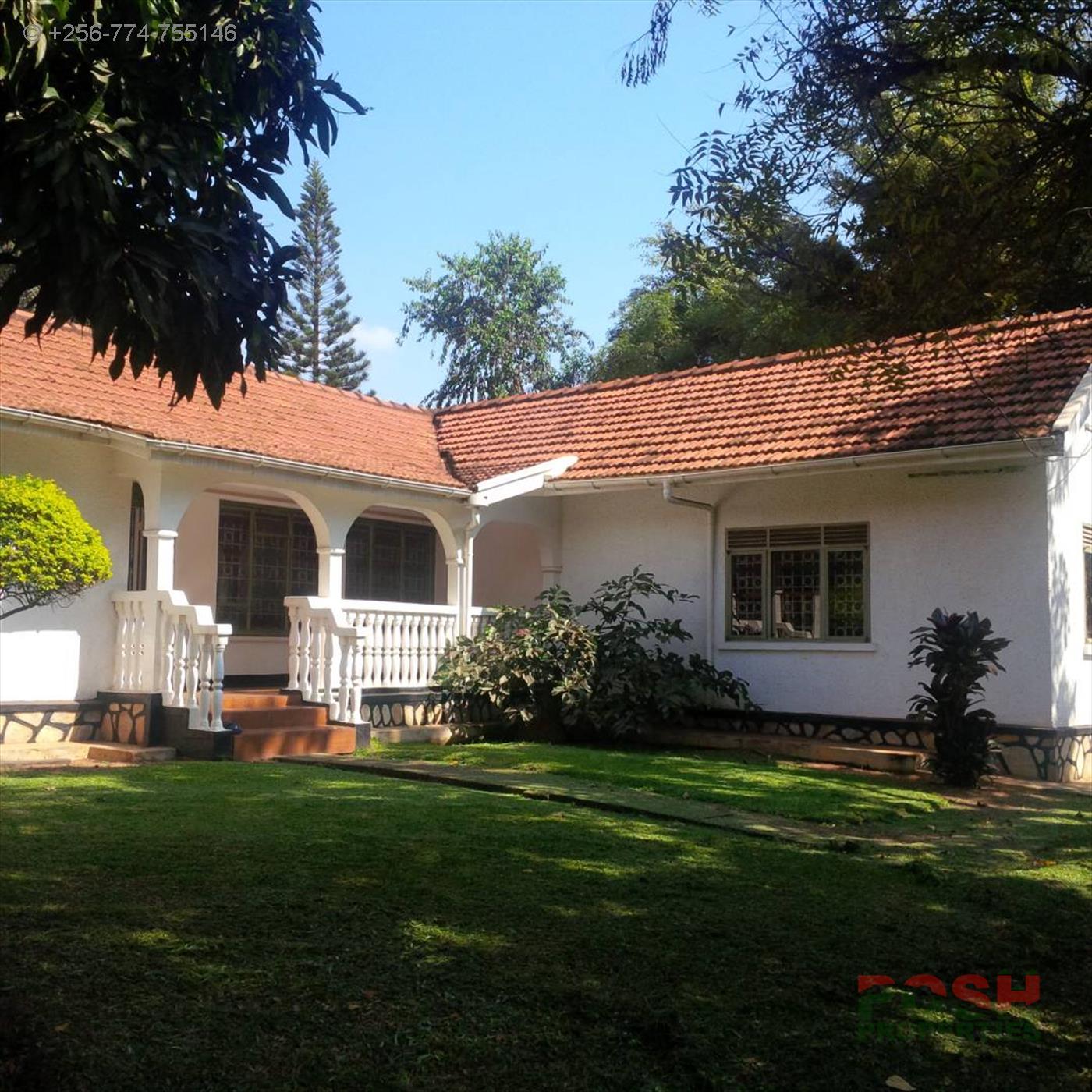 Bungalow for rent in Kololo Kampala