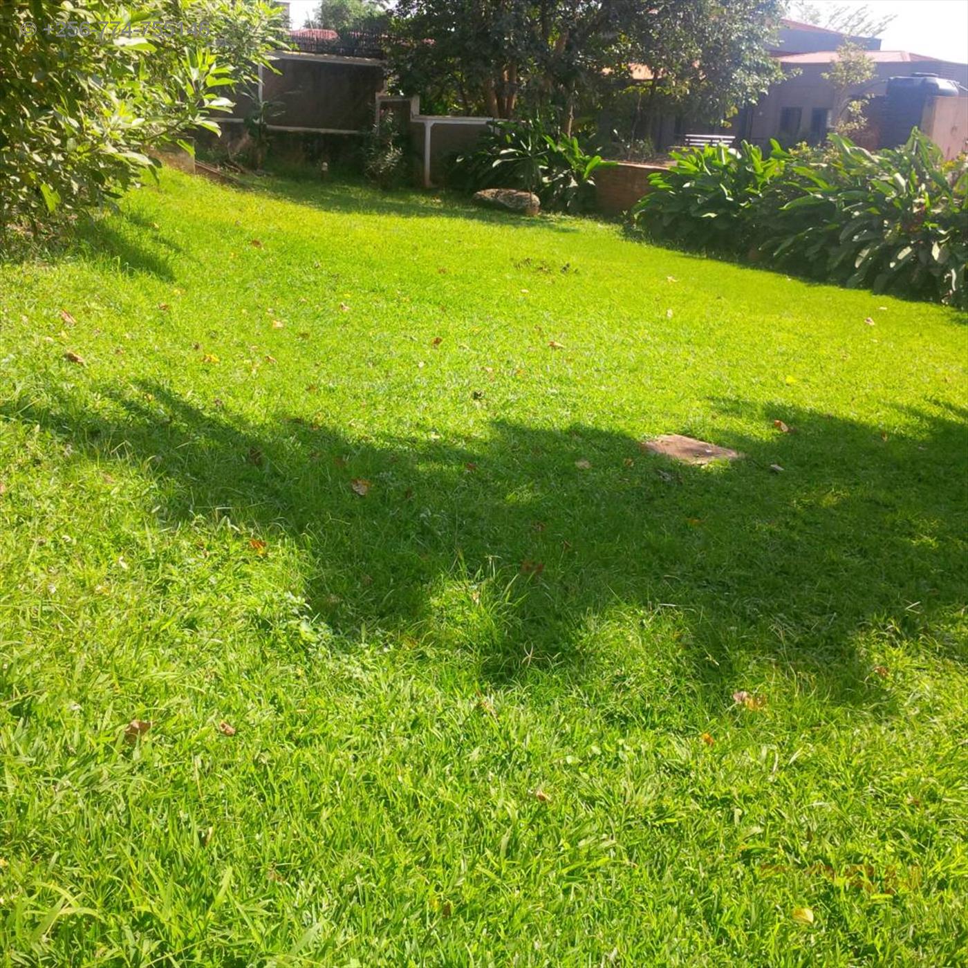 Bungalow for rent in Kololo Kampala