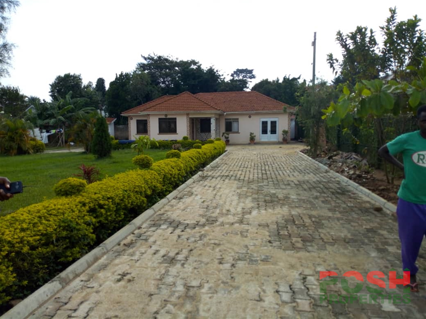 Bungalow for rent in Bugoloobi Kampala