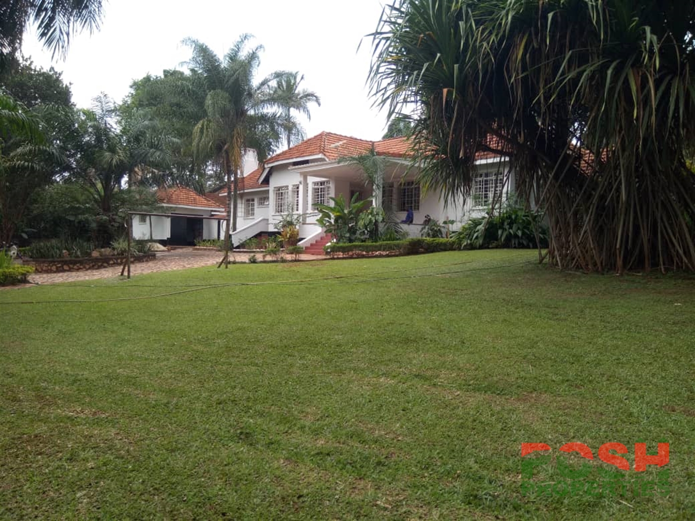 Bungalow for rent in Kololo Kampala