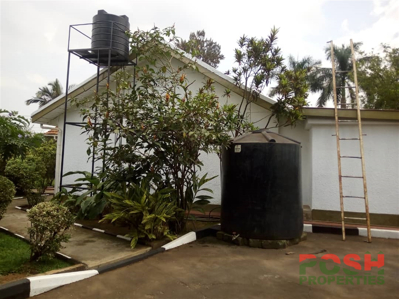 Bungalow for rent in Kololo Kampala