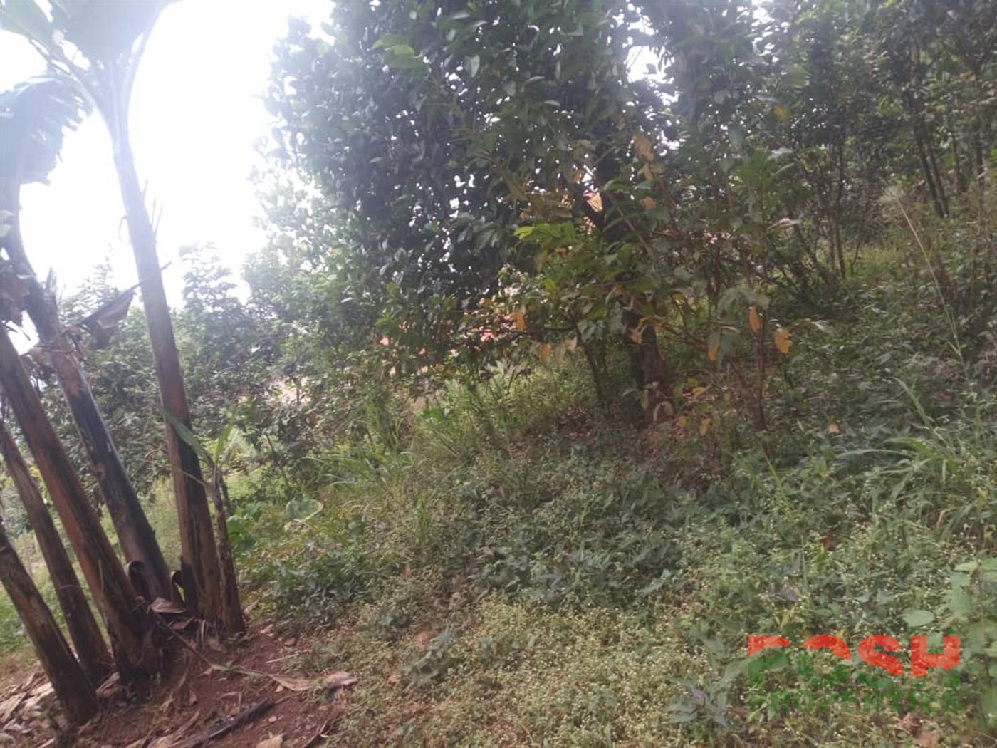 Residential Land for sale in Seguku Wakiso