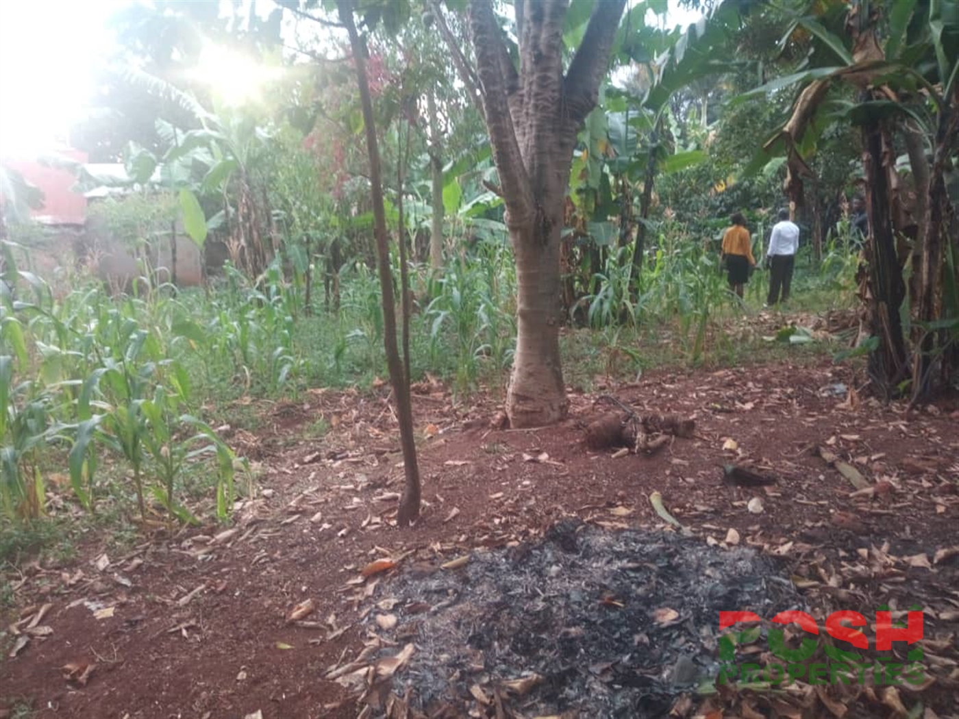 Residential Land for sale in Entebbe Wakiso