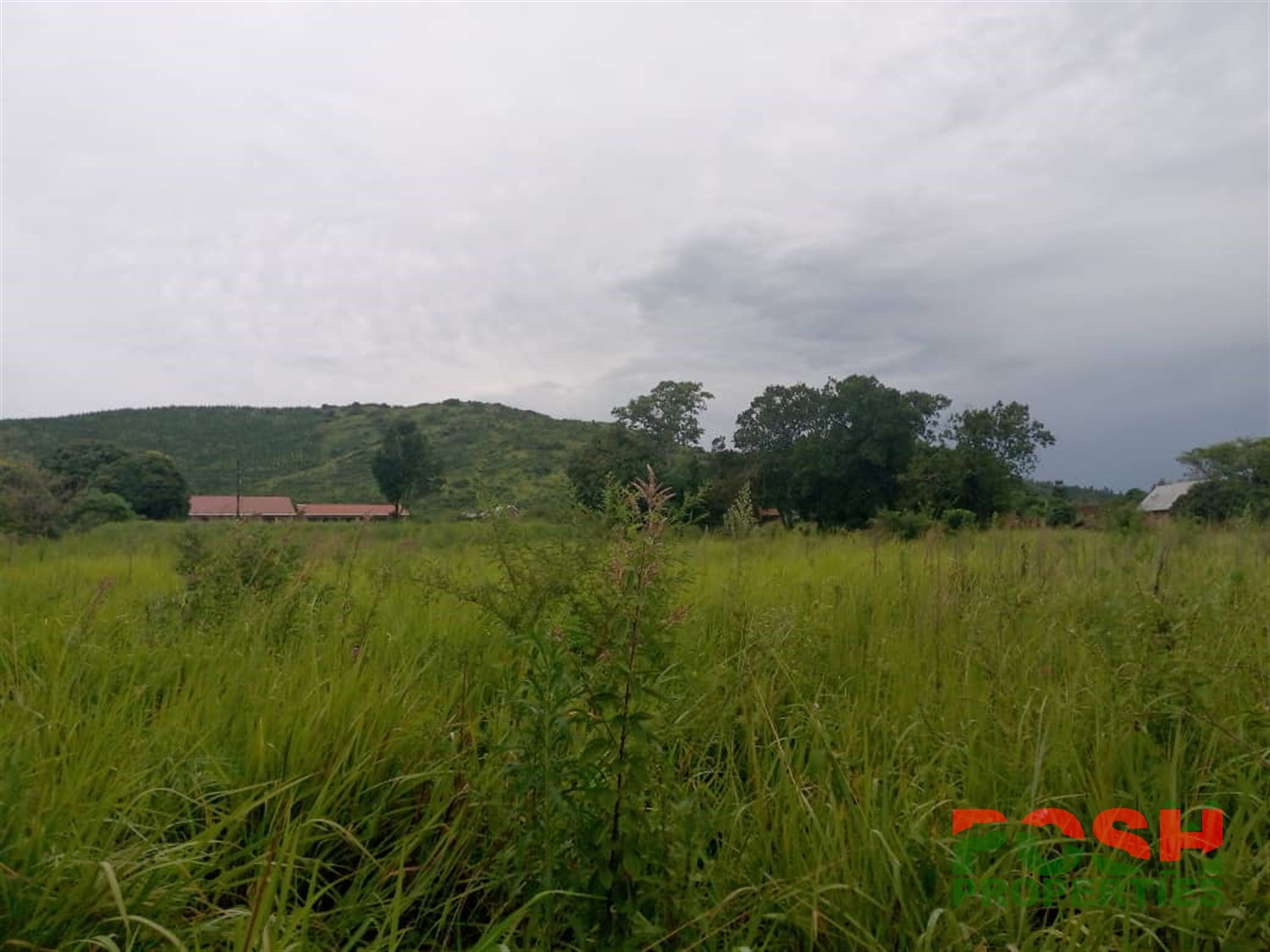 Commercial Land for sale in Lwamata Kiboga