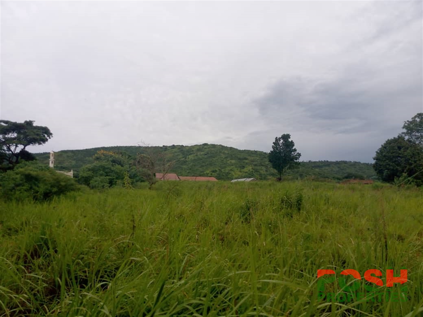 Commercial Land for sale in Lwamata Kiboga