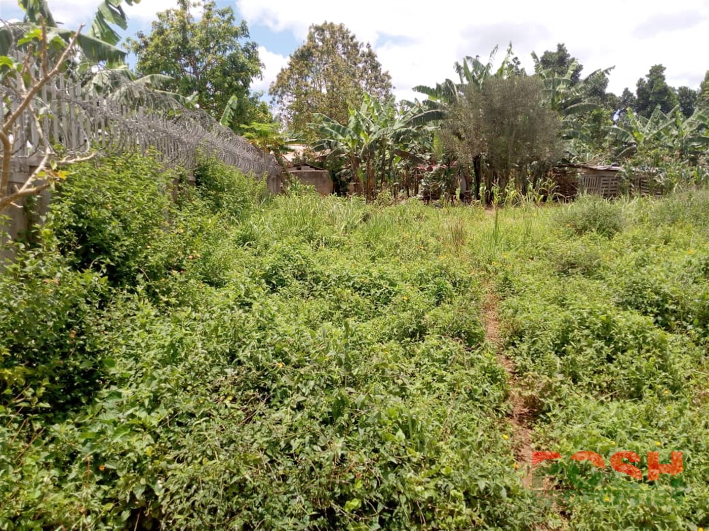 Residential Land for sale in Wantoni Mukono