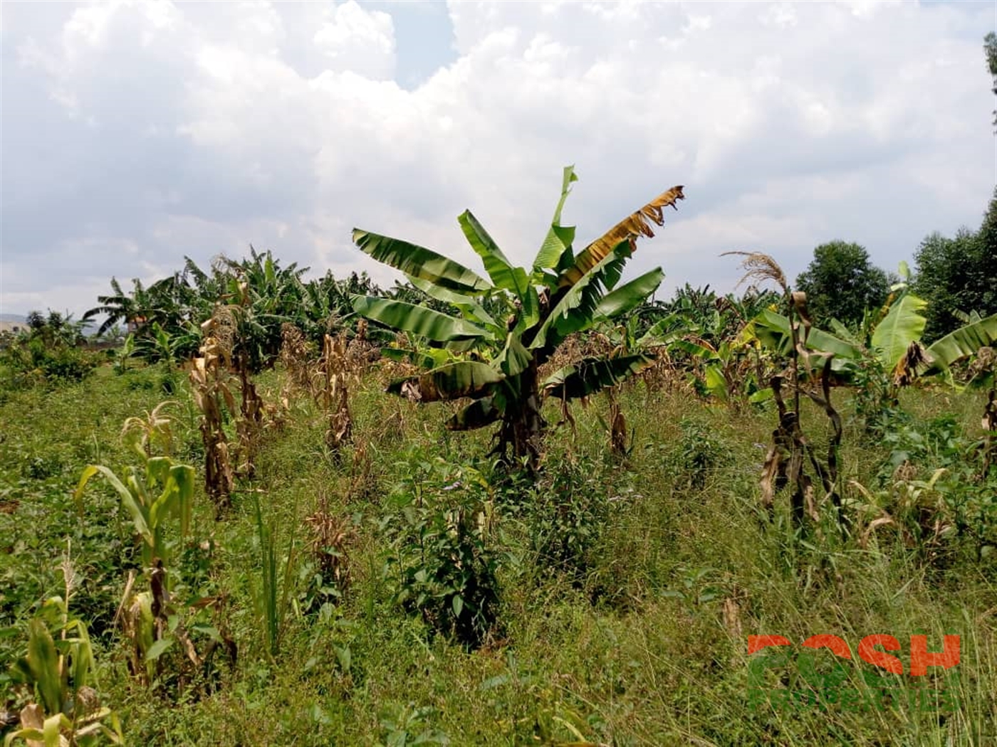 Residential Land for sale in Bwelenga Wakiso