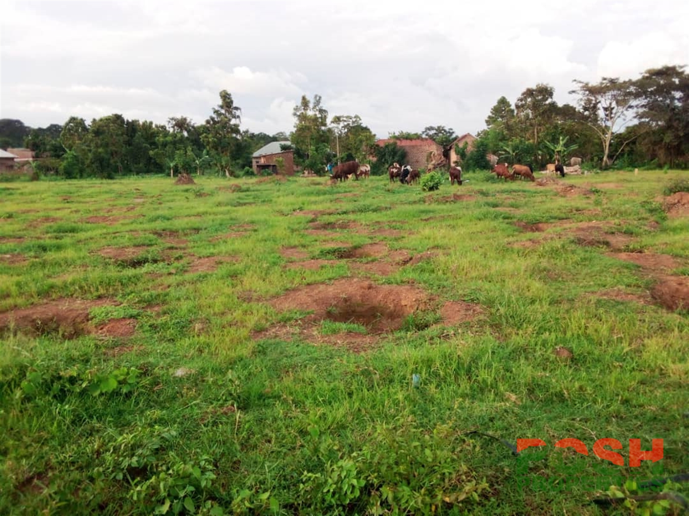 Residential Land for sale in Busaabala Wakiso