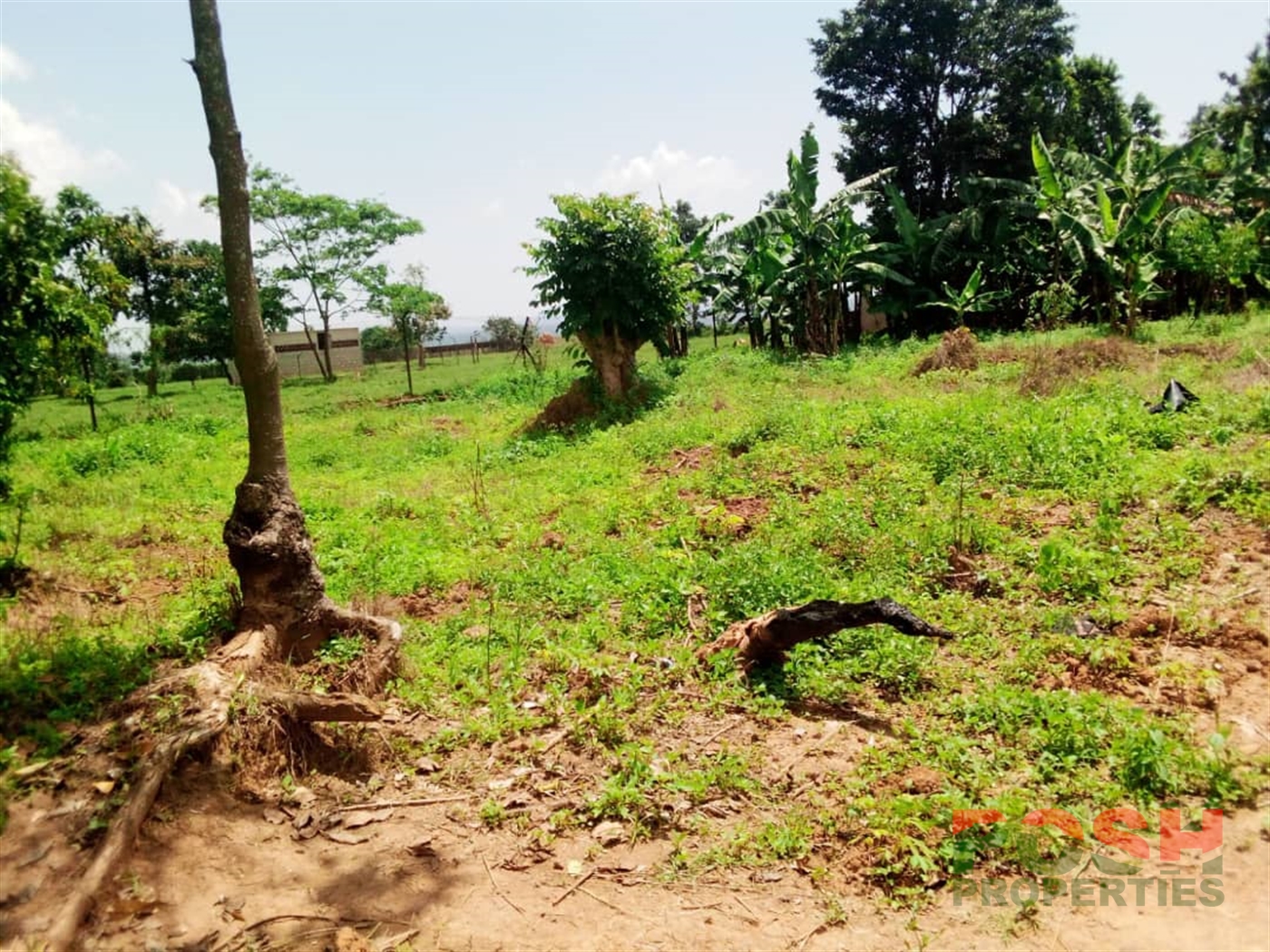 Residential Land for sale in Kigo Wakiso