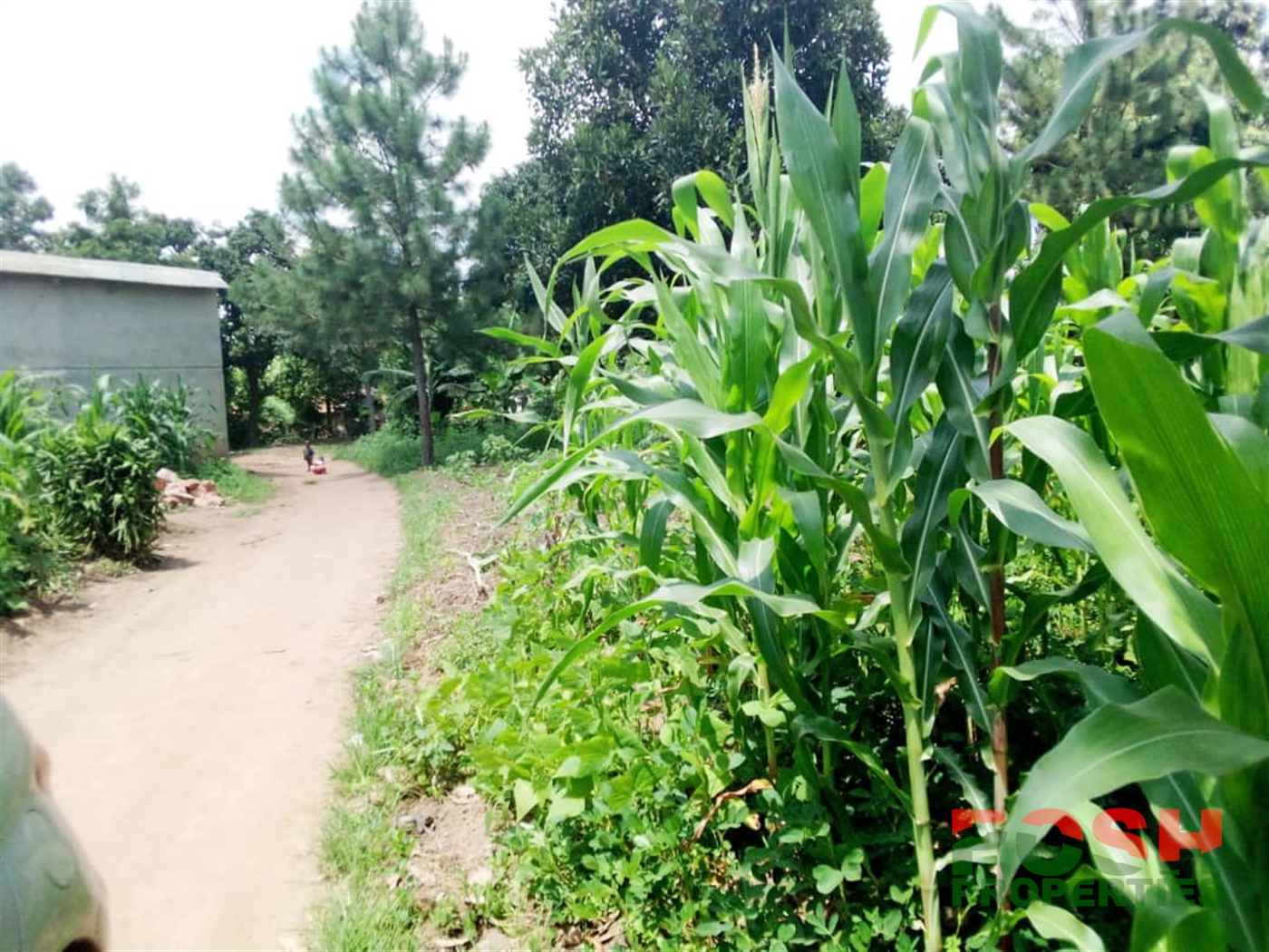 Residential Land for sale in Kigo Wakiso