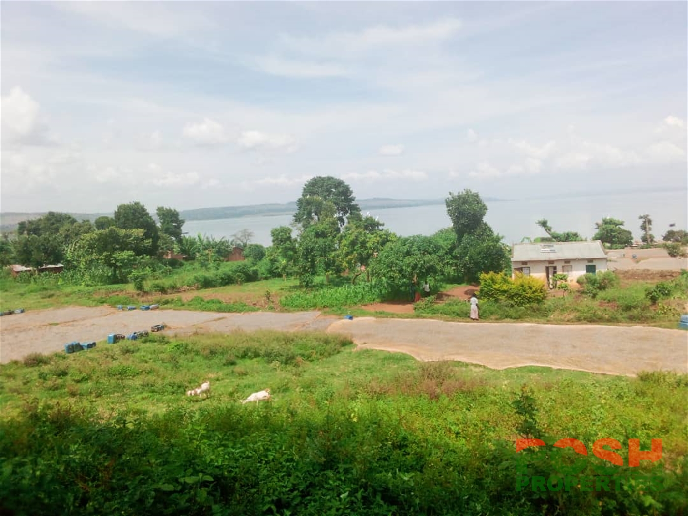 Commercial Land for sale in Kiyindi Jinja