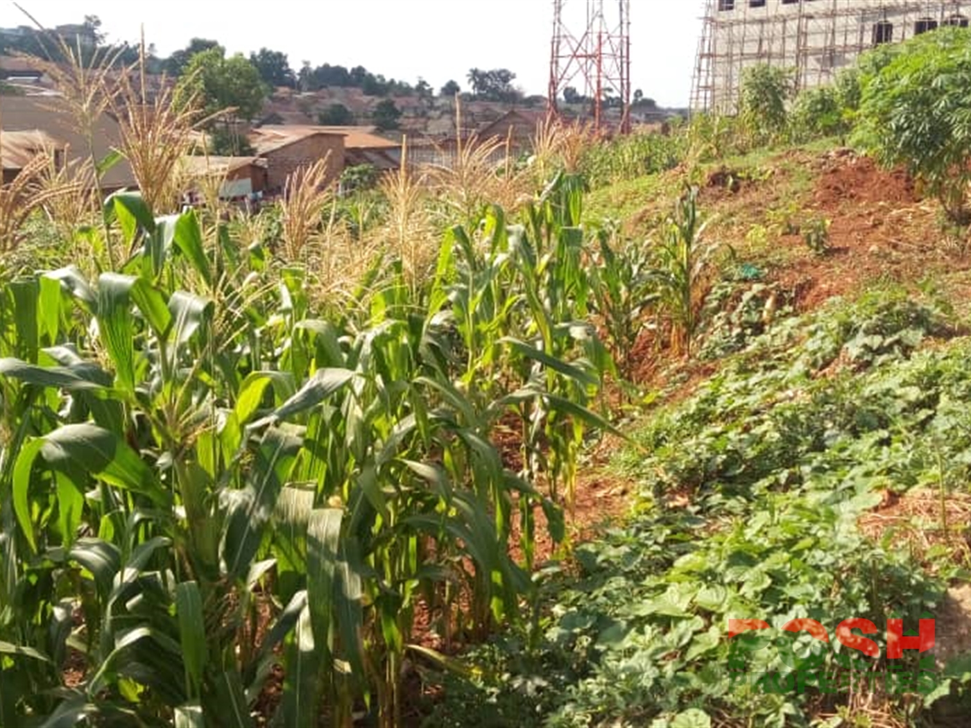 Residential Land for sale in Makerere Kampala