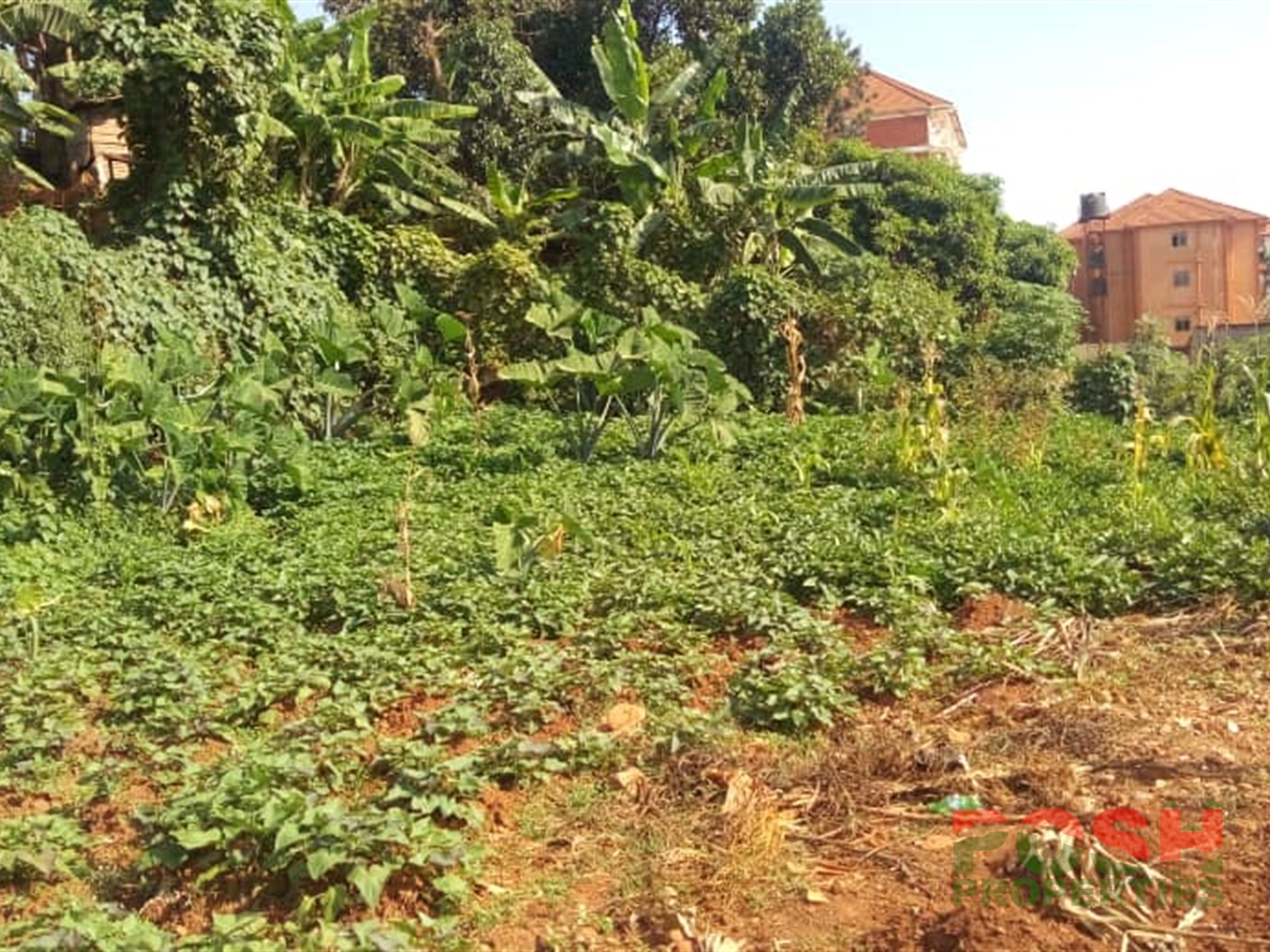 Residential Land for sale in Makerere Kampala