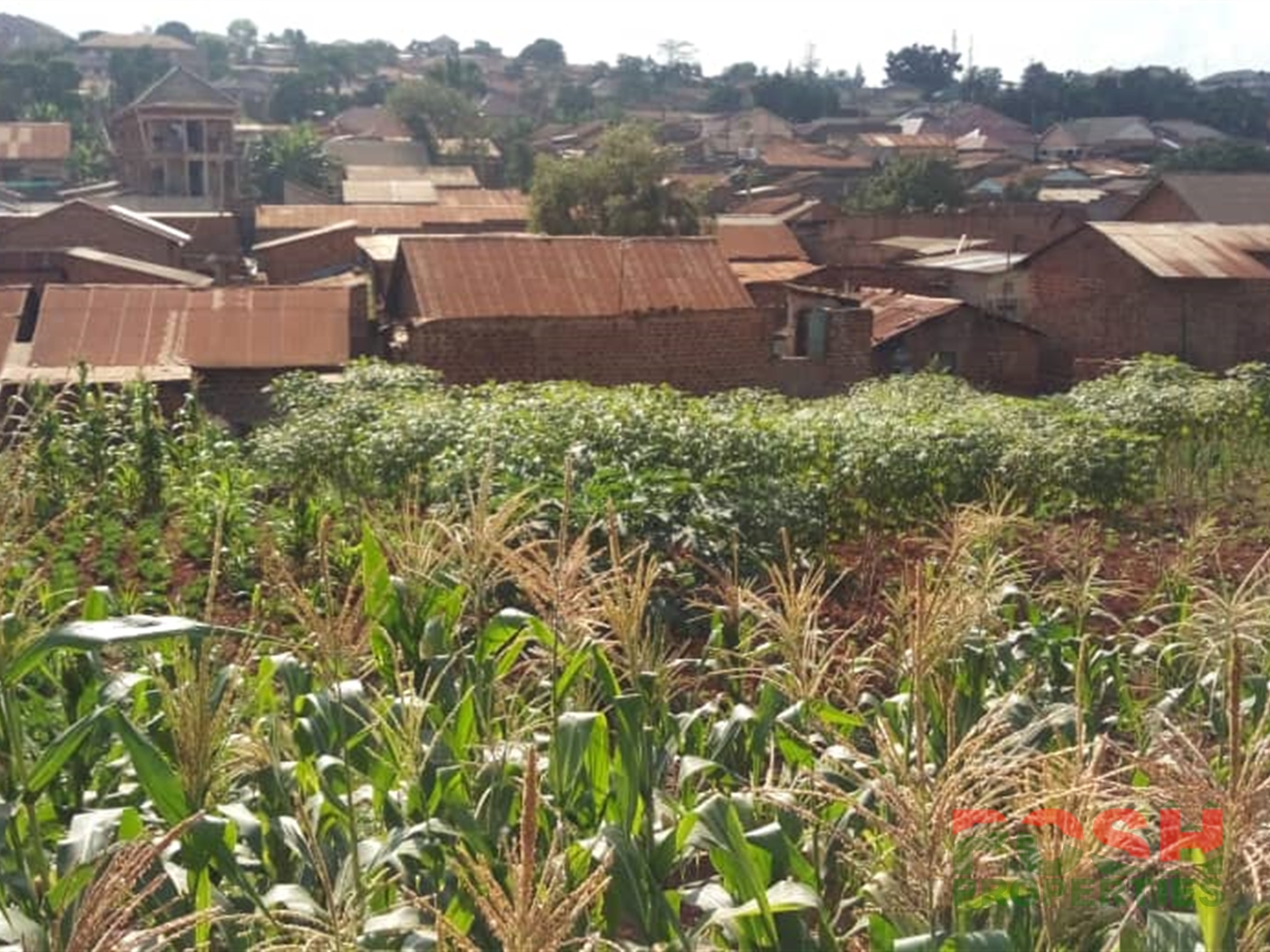 Residential Land for sale in Makerere Kampala