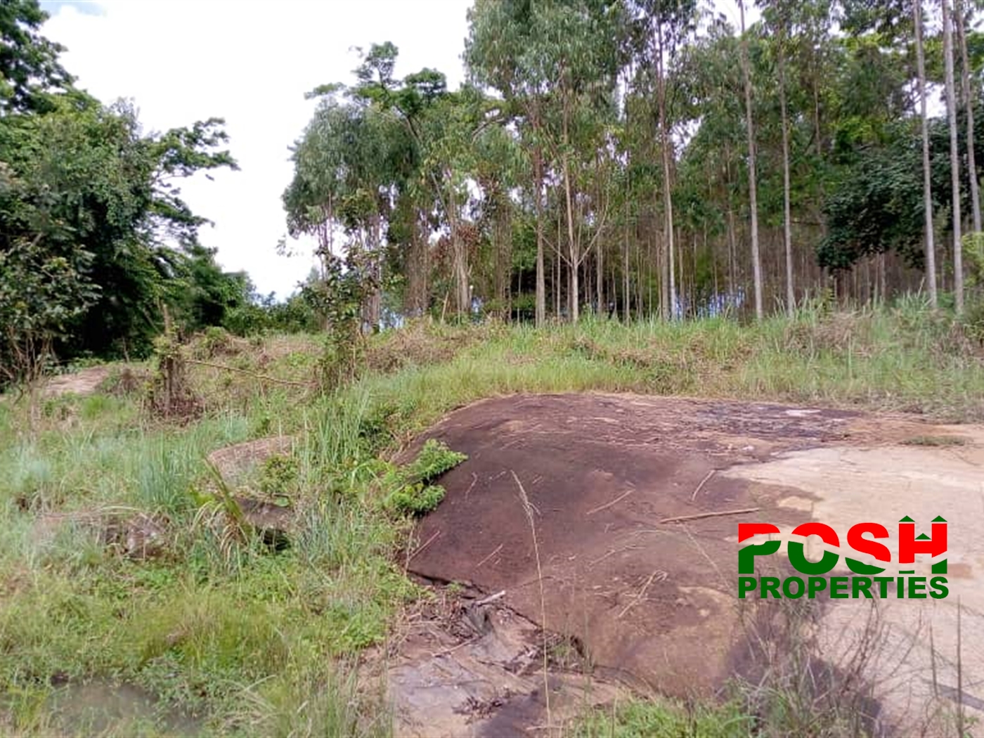 Industrial Land for sale in Mpoma Mukono