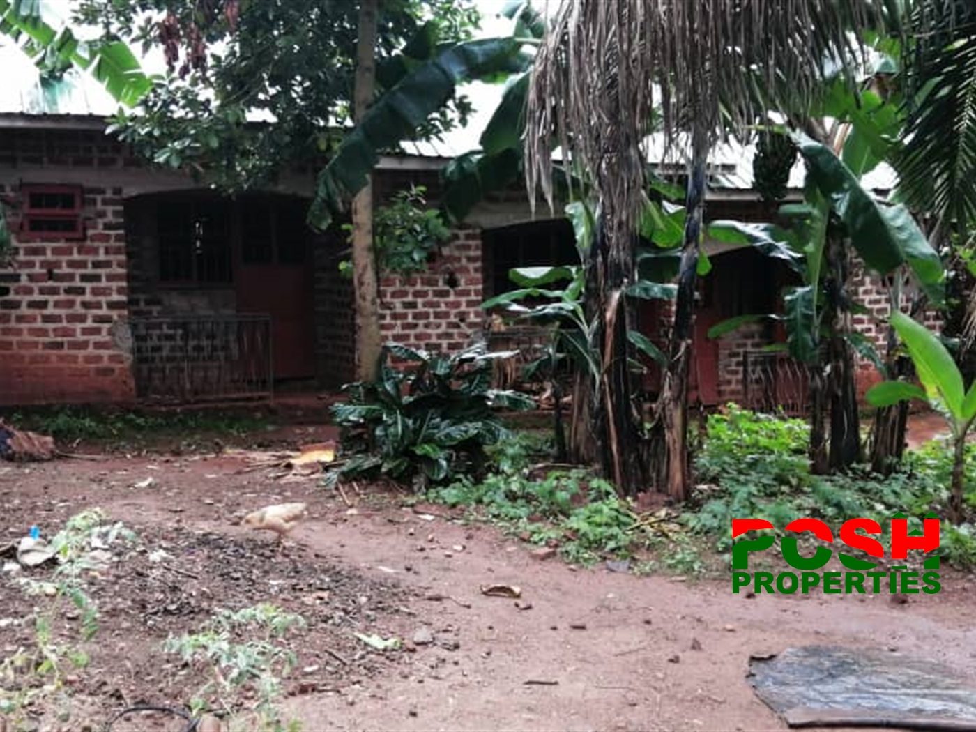 Rental units for sale in Kitende Wakiso