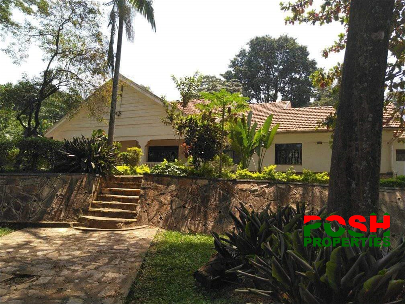 Bungalow for rent in Kololo Kampala