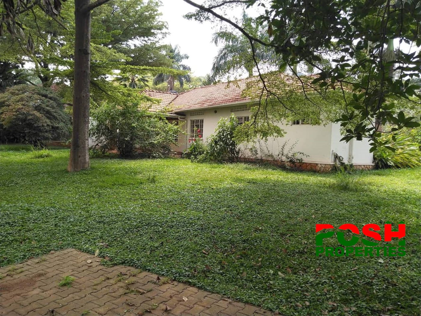 Bungalow for rent in Kololo Kampala