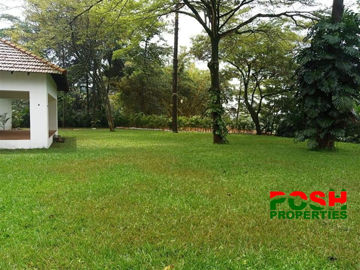 Bungalow for rent in Kololo Kampala