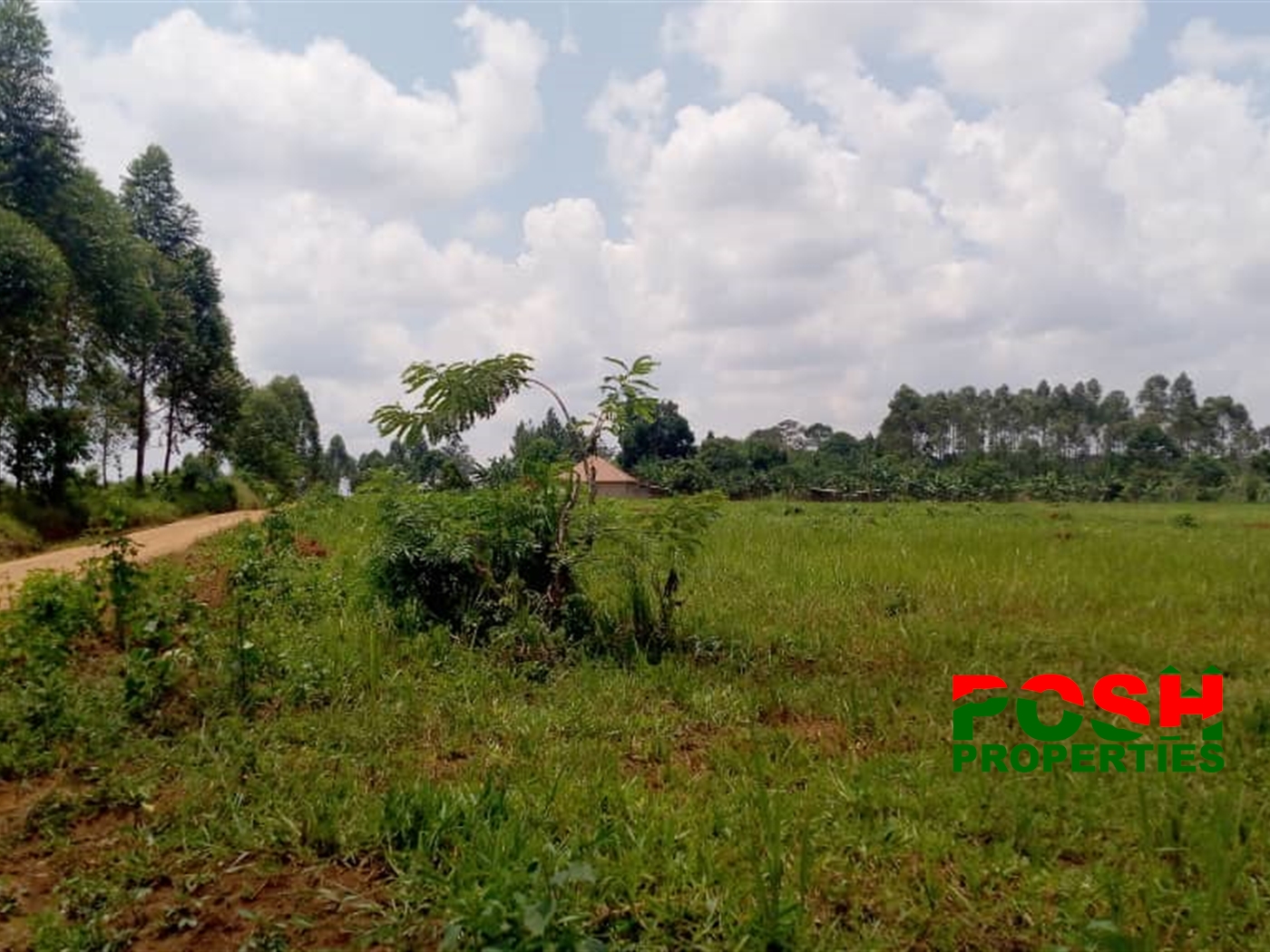 Residential Land for sale in Bukeelele Wakiso