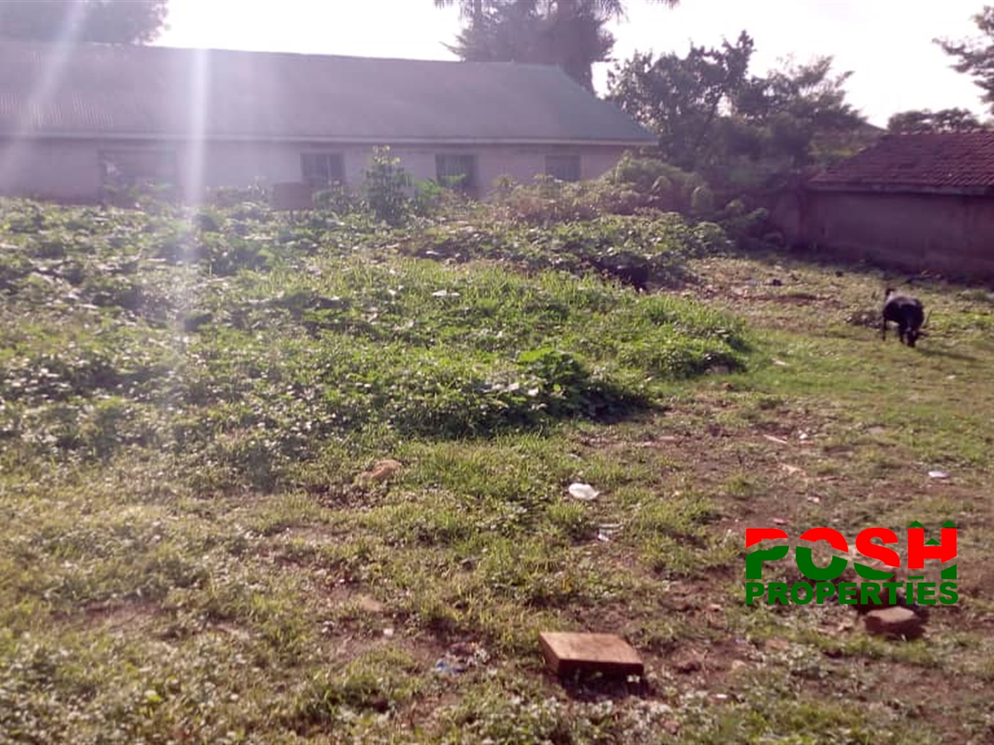 Residential Land for sale in Ntinda Kampala