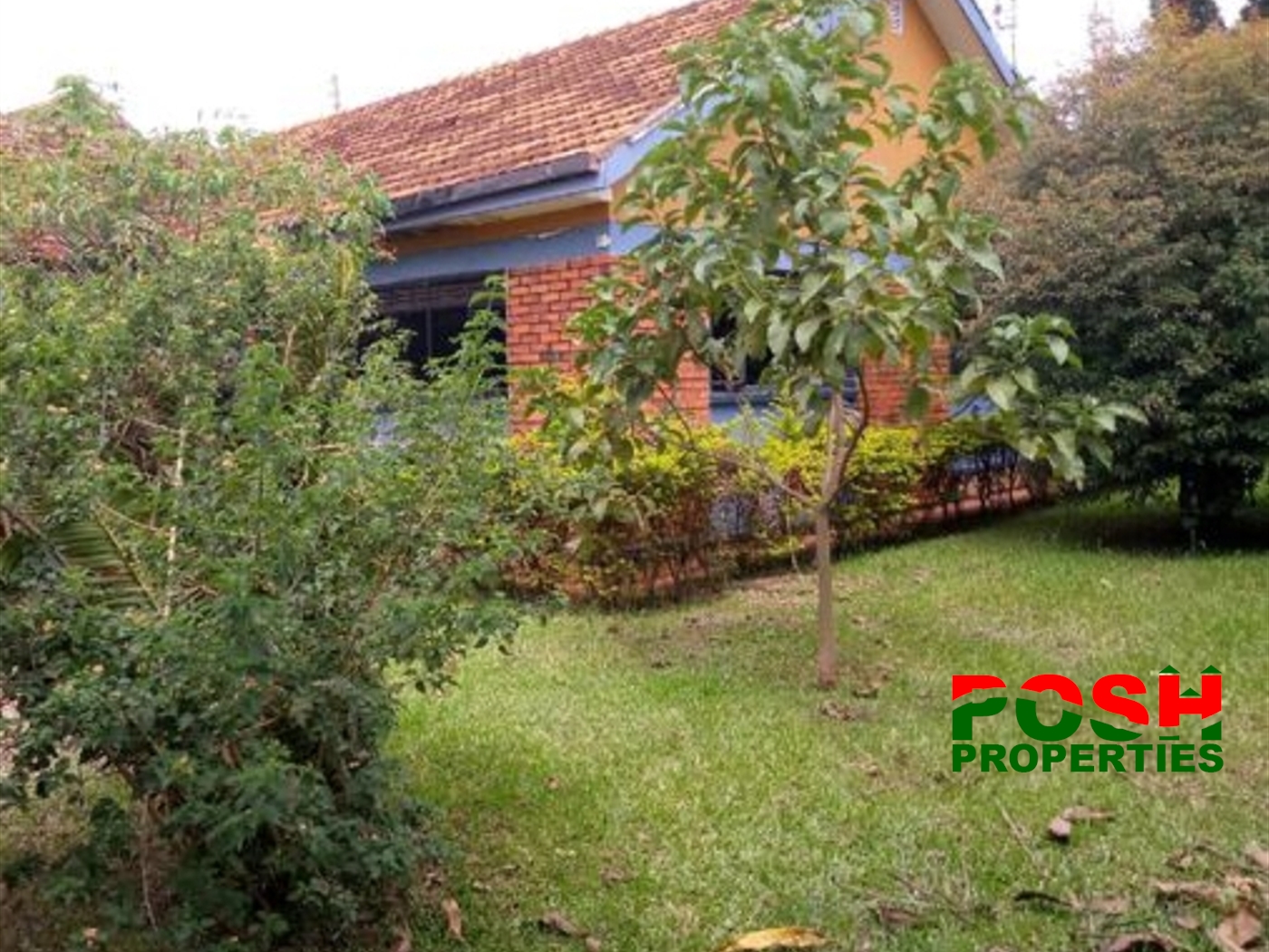 Bungalow for rent in Ntinda Kampala