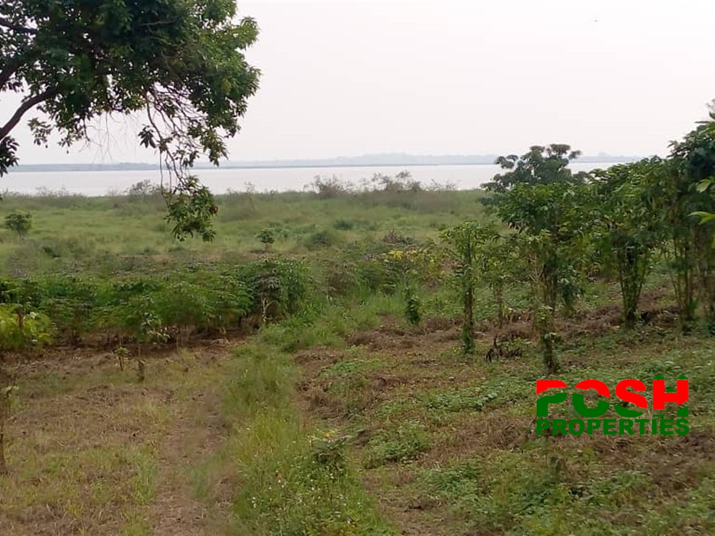 Residential Land for sale in Kasanjje Wakiso