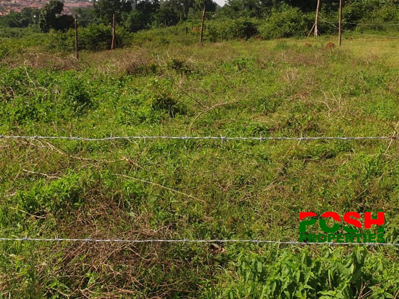 Residential Land for sale in Ssenge Wakiso