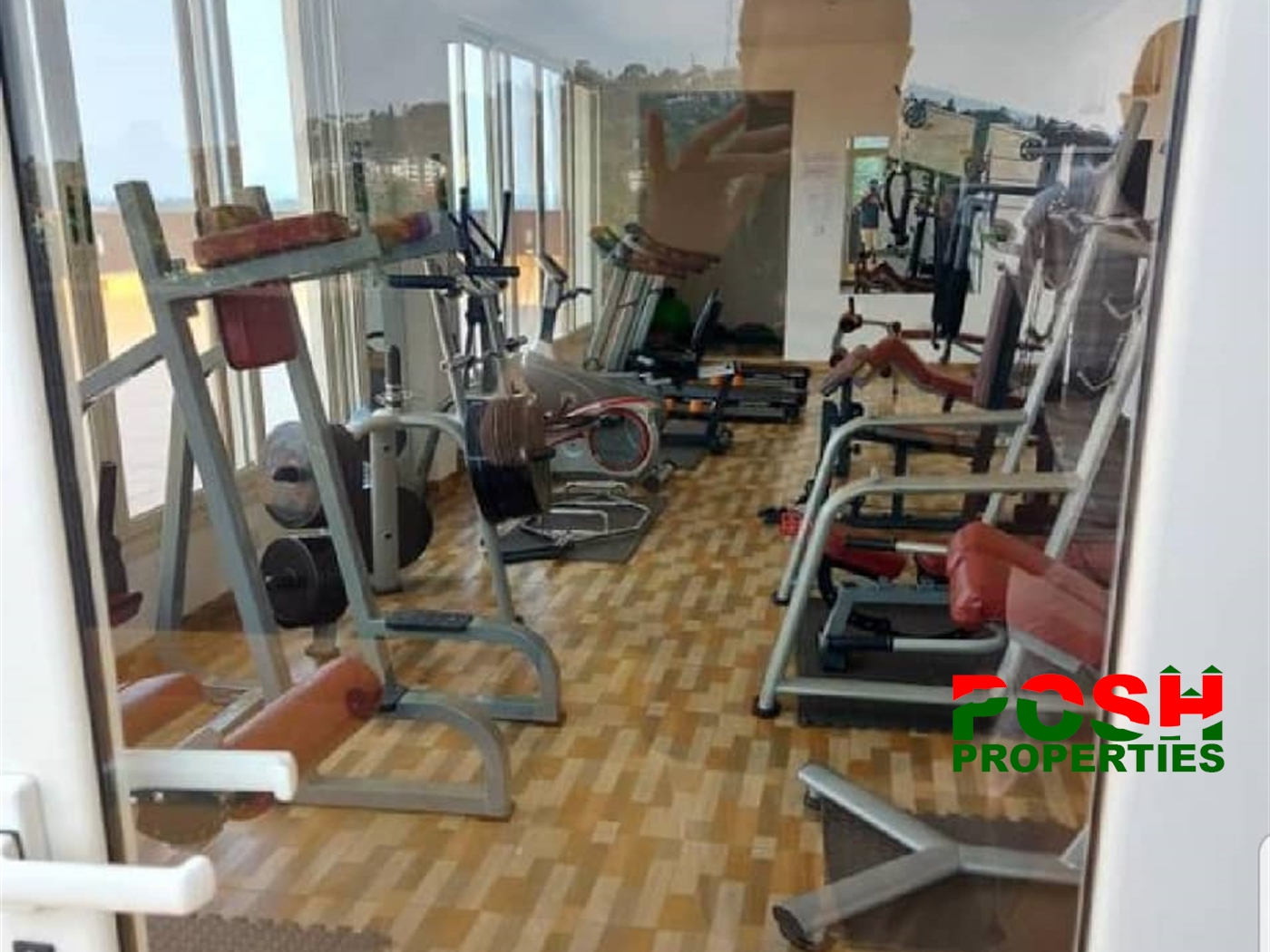 Gym (Gymnasium)