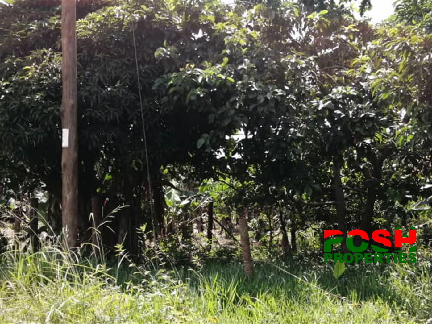 Residential Land for sale in Kawuka Wakiso