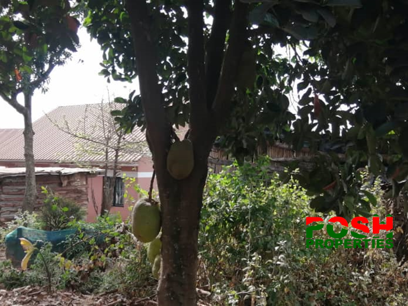 Residential Land for sale in Bukoto Wakiso