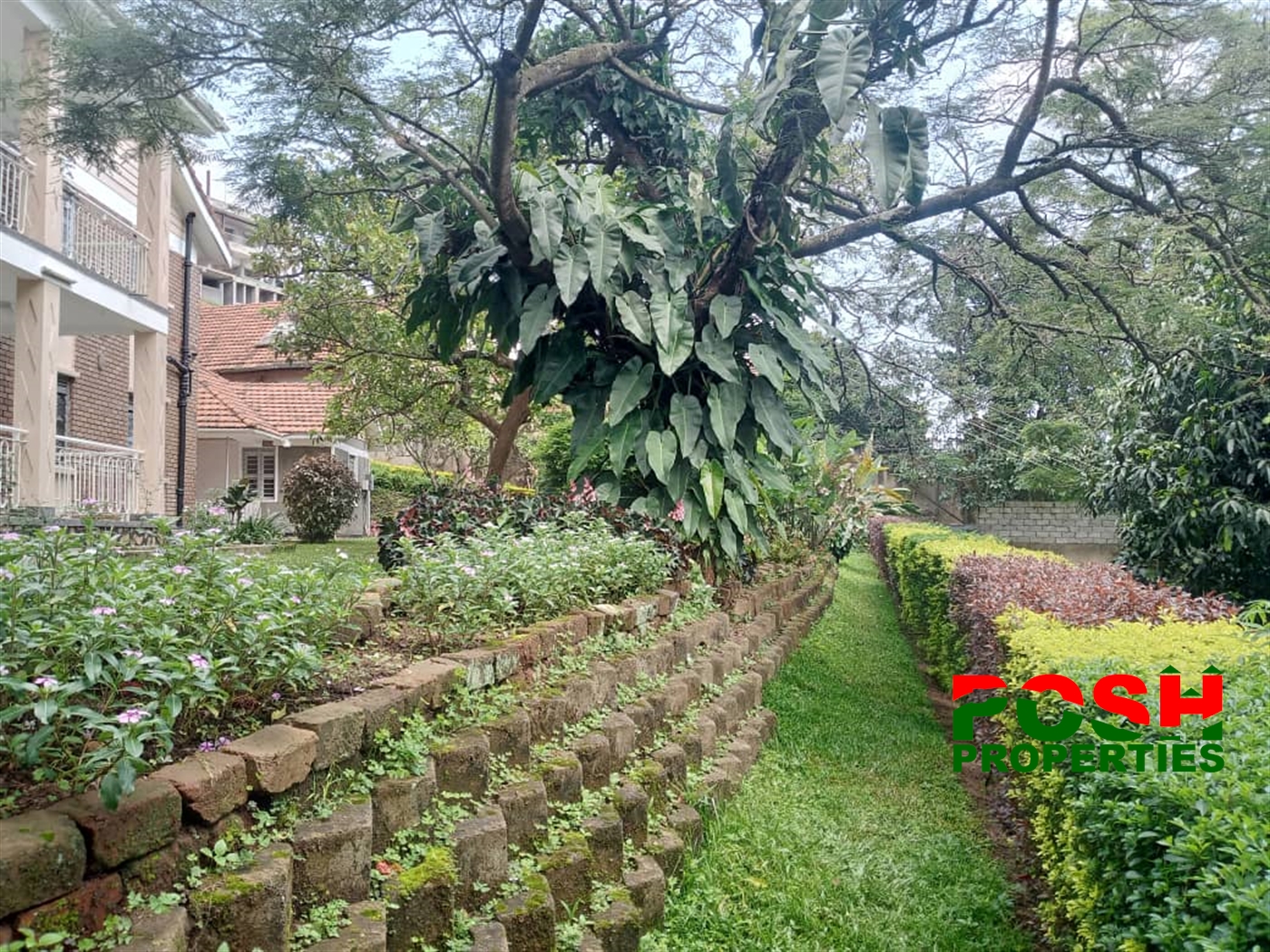 Mansion for rent in Kololo Kampala