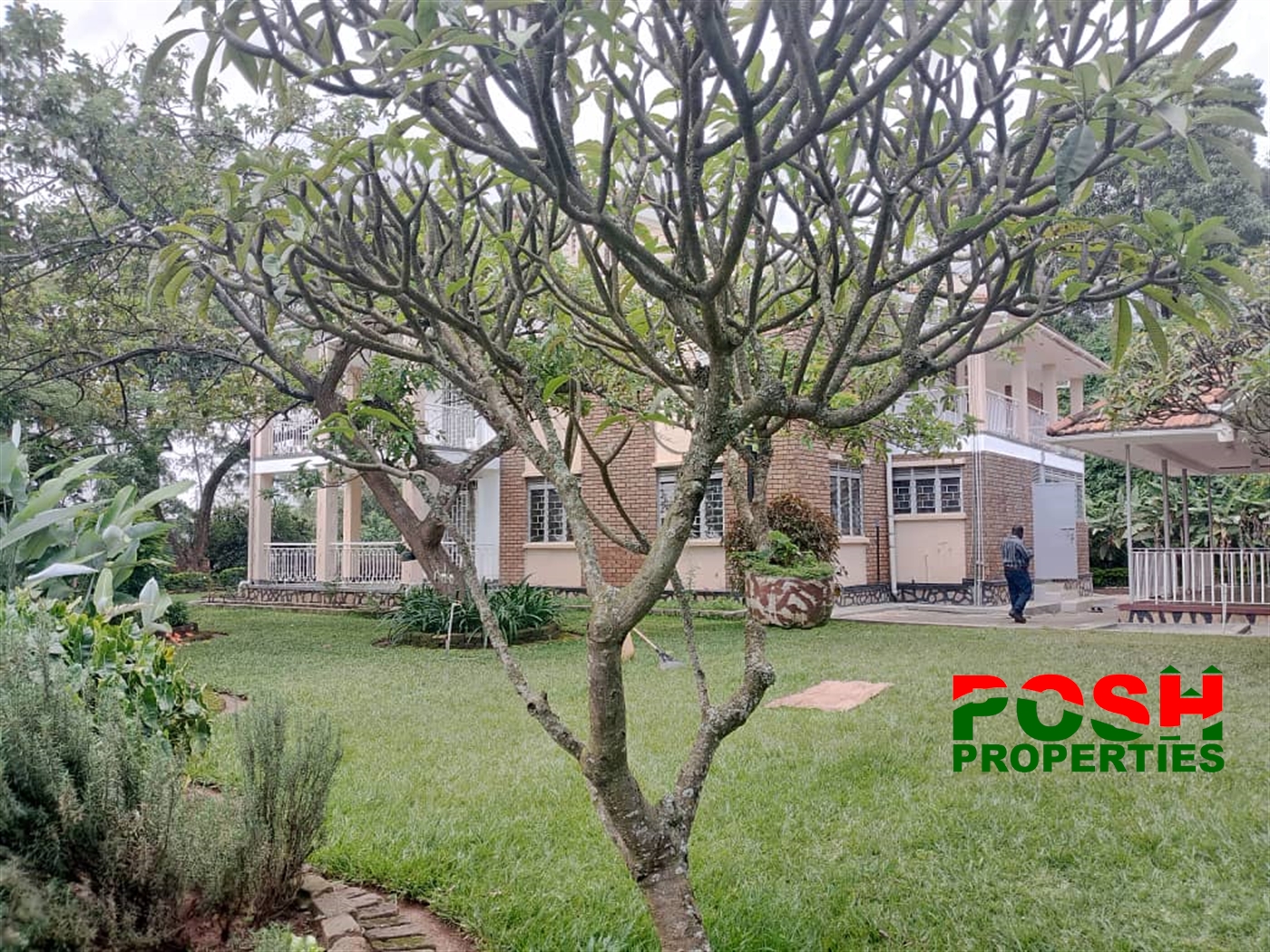 Mansion for rent in Kololo Kampala