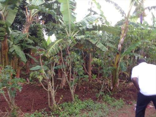 Residential Land for sale in Lubowa Kampala