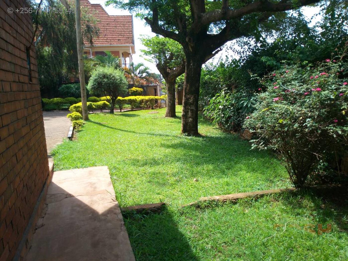 Bungalow for rent in Rubaga Kampala