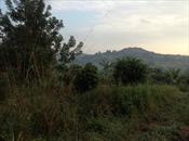 Residential Land for sale in Bwebajja Wakiso