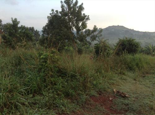 Residential Land for sale in Ntinda Kampala