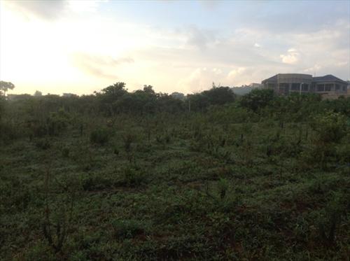 Commercial Land for sale in Ntinda Kampala