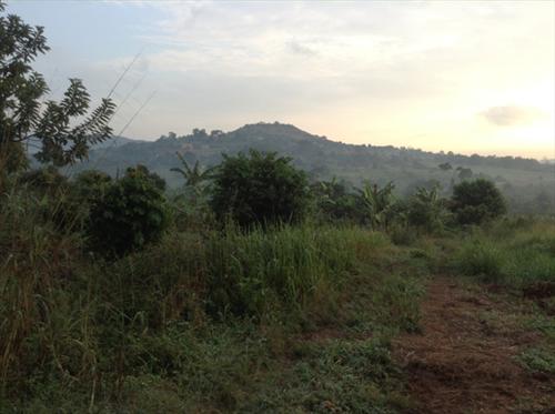 Residential Land for sale in Lubowa Wakiso