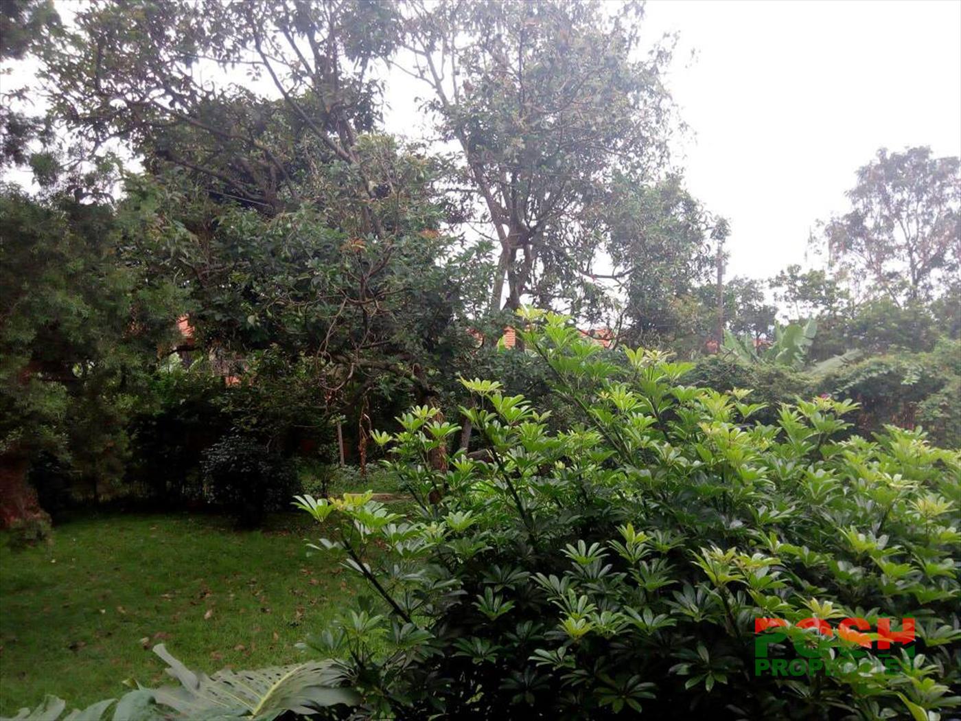 Mansion for rent in Munyonyo Kampala