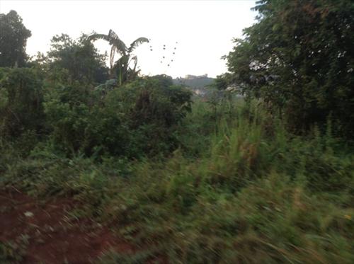 Residential Land for sale in Kiwaatule Wakiso